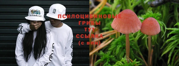 бошки Медногорск