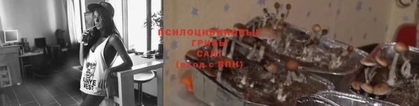 бошки Медногорск