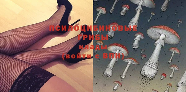 бошки Медногорск