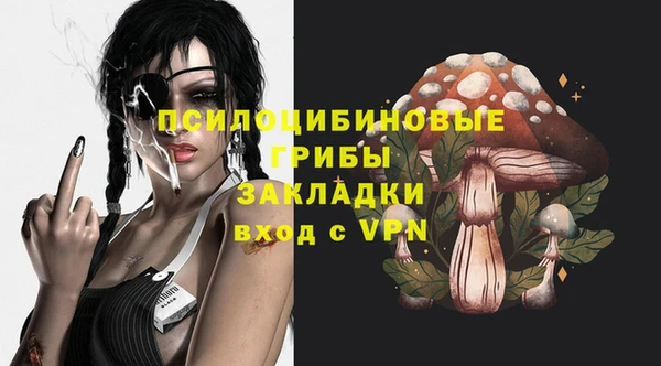 бошки Медногорск