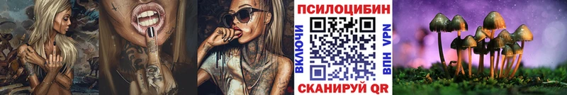 Галлюциногенные грибы GOLDEN TEACHER  Новокубанск 