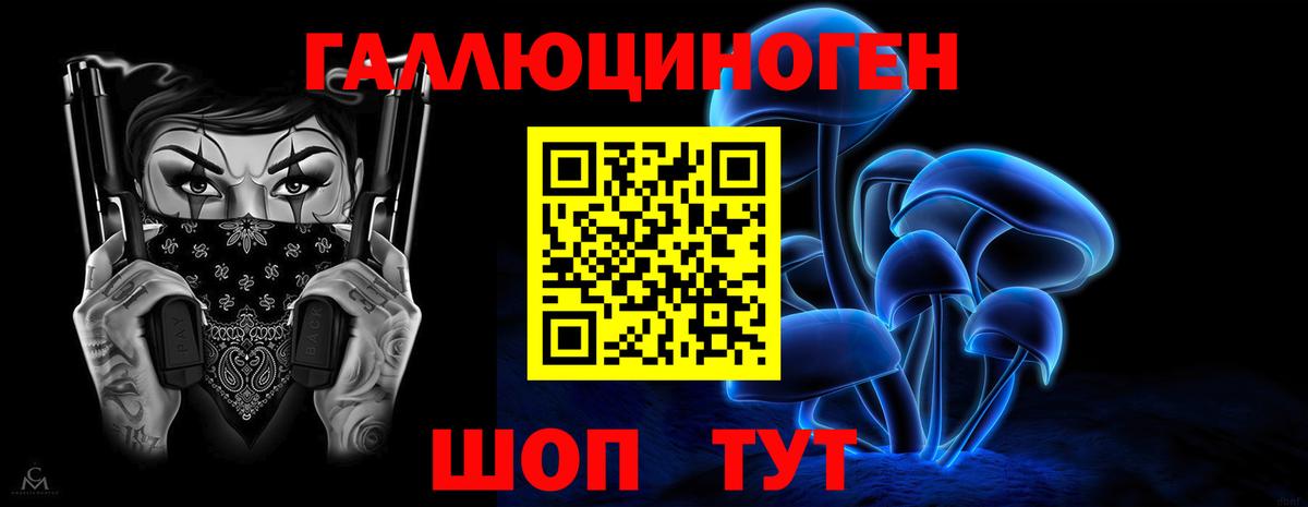 Галлюциногенные грибы Psilocybe  Вход с VPN  Псилоцибиновые грибы GOLDEN TEACHER  Новокубанск 
