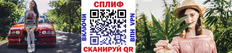 Каннабис Amnesia  закладки  сайты даркнета формула  Новокубанск 